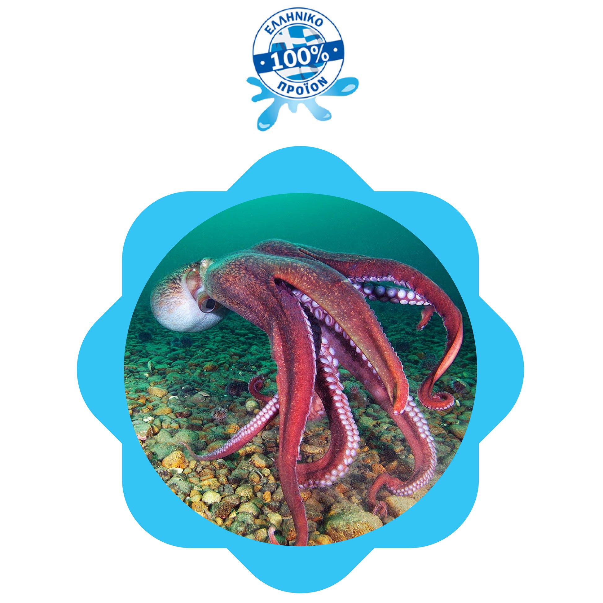 Απολαύστε το δικό σας χταπόδι - elmydi